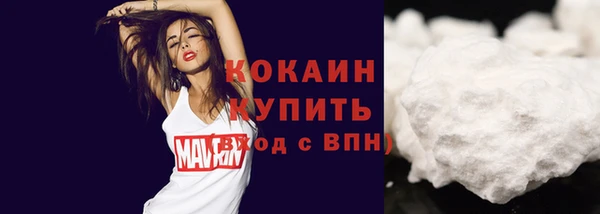 apvp Верея