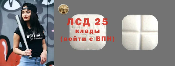 apvp Верея