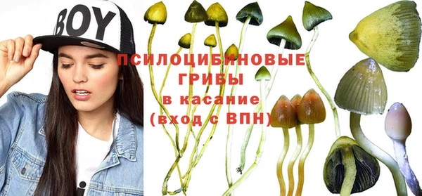 МДПВ Верхнеуральск