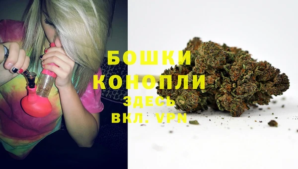 apvp Верея