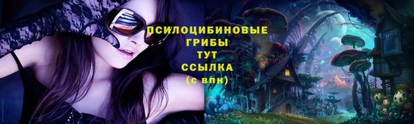 МДПВ Верхнеуральск