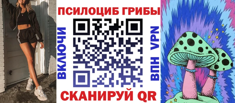 Галлюциногенные грибы Psilocybe  Нурлат 